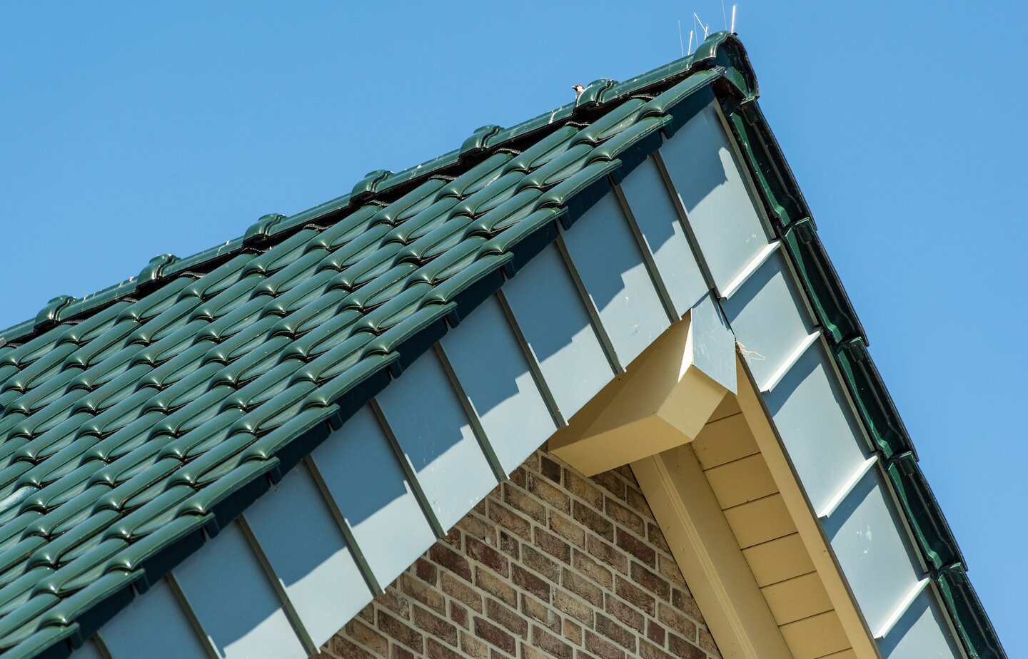 Ergoldsbacher E 58 MAX - Royal green | © ERLUS 2022