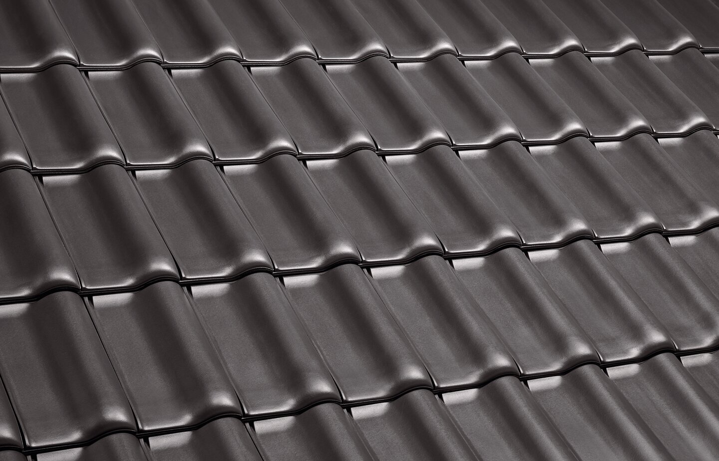 E 58 MAX® - Anthracite | Image roof surface