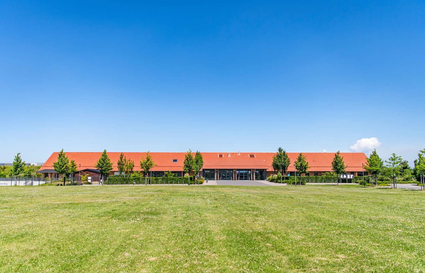 Ergoldsbacher E 58 PLUS® - Copper brown | © ERLUS 2022