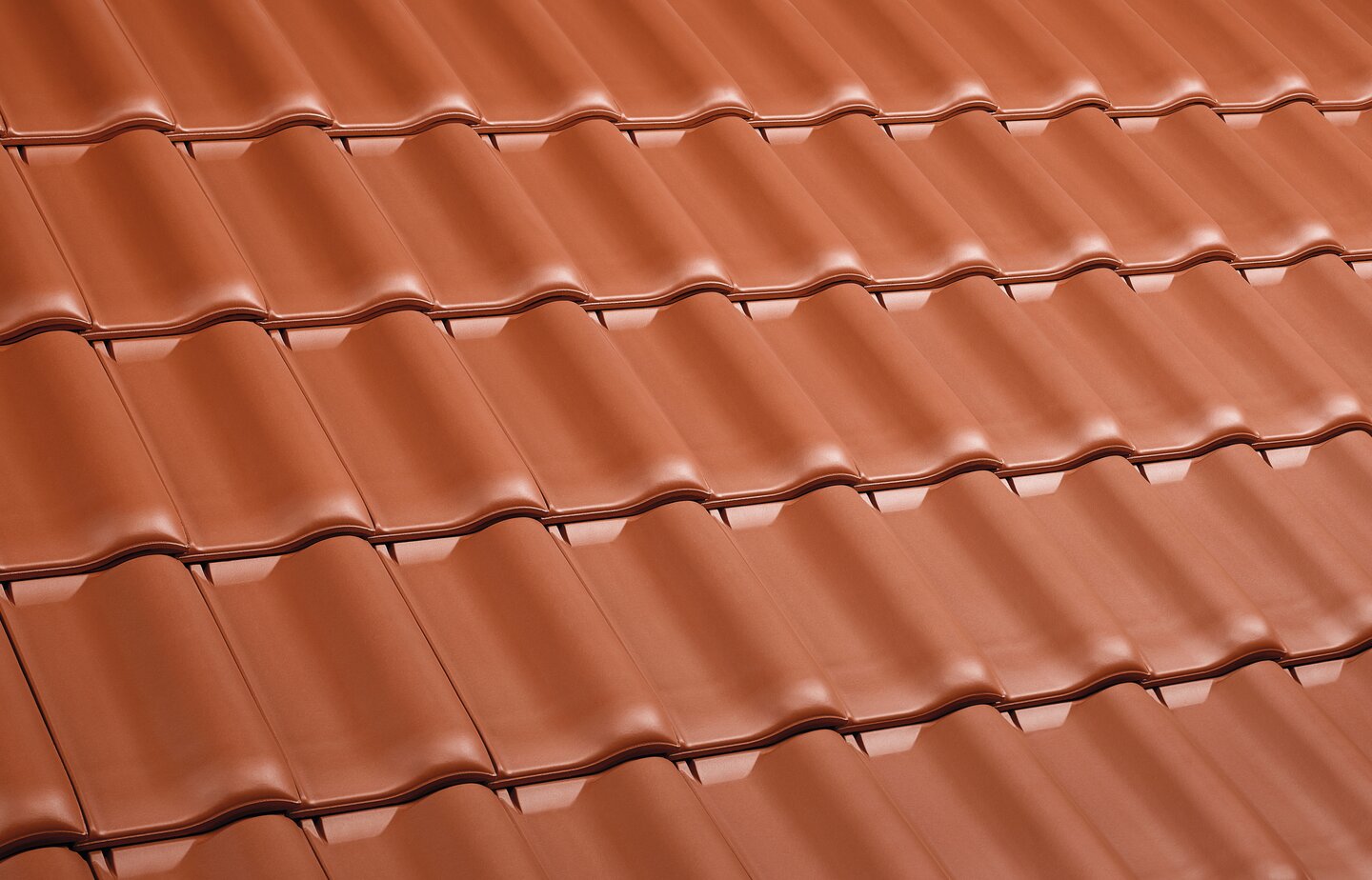 E 58 RS® - Red | Image roof surface | © © ERLUS AG 2021