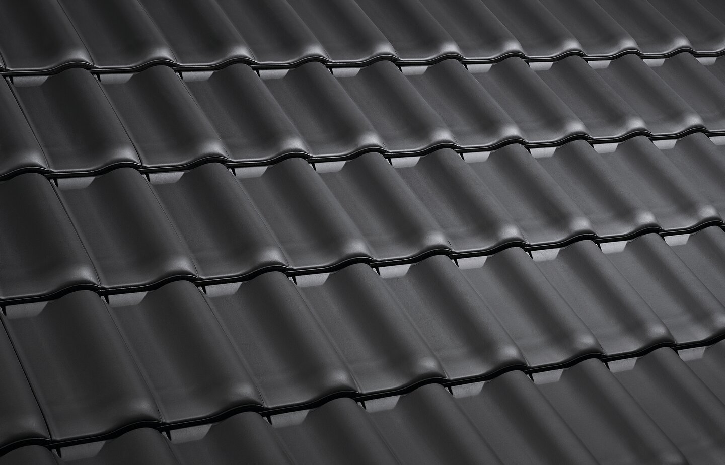 E 58 RS® - Black Matt | Image roof surface | © © ERLUS AG 2021