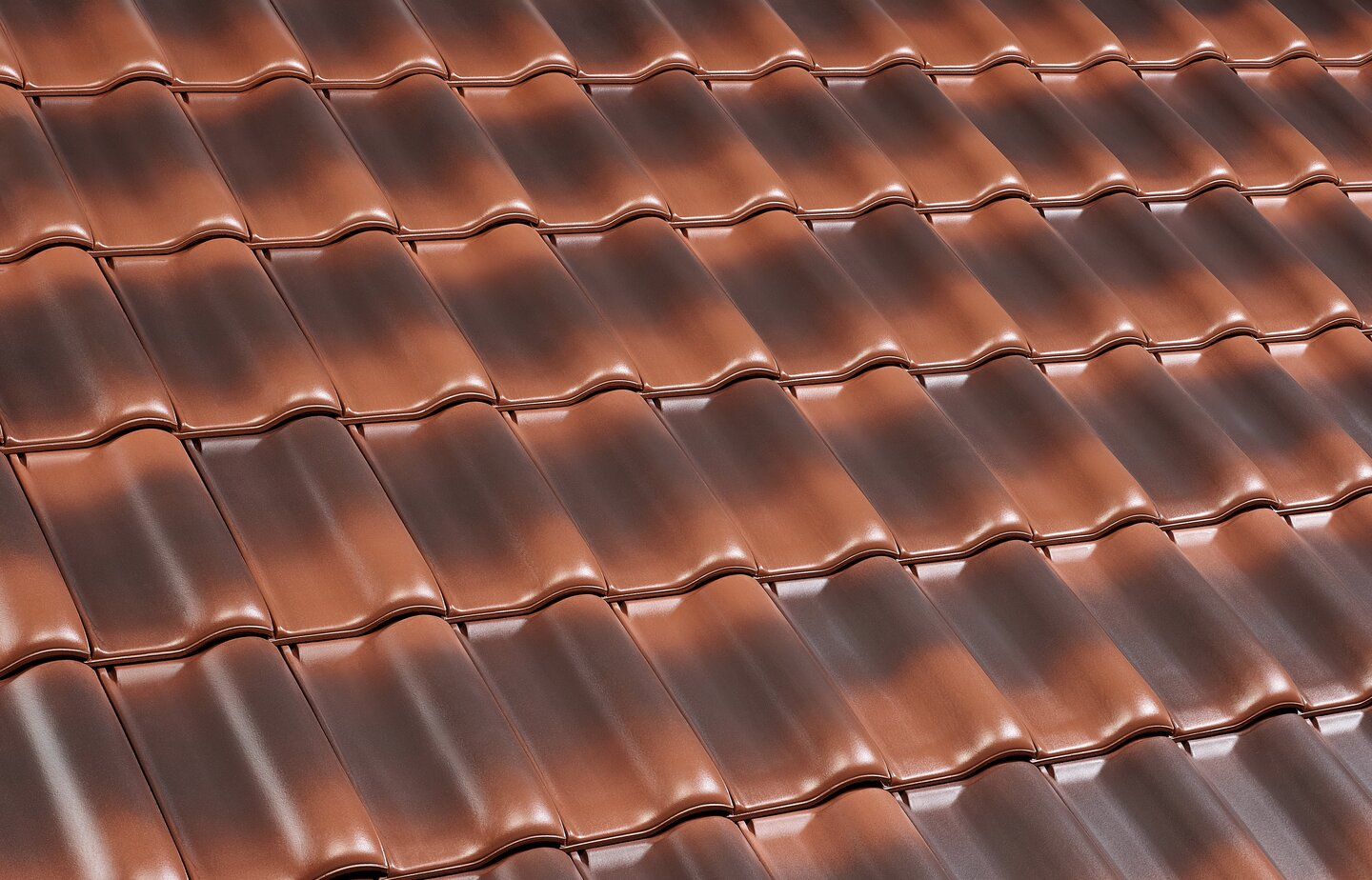 E58 S - Rustik | Image roof surface | © © ERLUS AG 2021